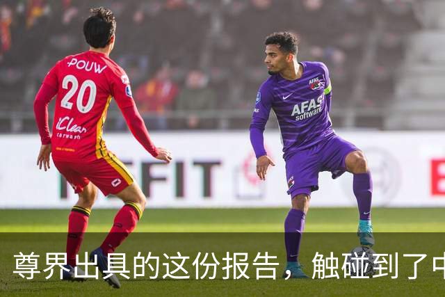 尊界出具的这份报告，触碰到了中国车圈最深的障碍