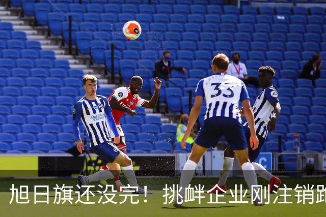 旭日旗还没完！挑衅企业刚注销跑路，又揪出5个跟风“一起披”的