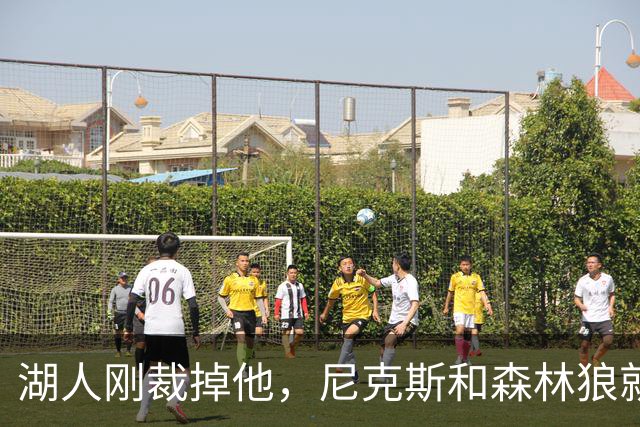 湖人刚裁掉他，尼克斯和森林狼就盯上了