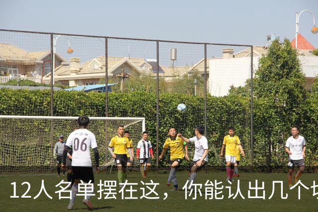 12人名单摆在这，你能认出几个切尔西埃弗顿双料旧将？