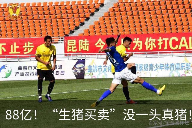 88亿！“生猪买卖”没一头真猪！空手套白狼，国企巨款全被挪走？