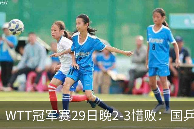 WTT冠军赛29日晚2-3惜败：国乒第2败！首输外战，国乒3人进男单16强